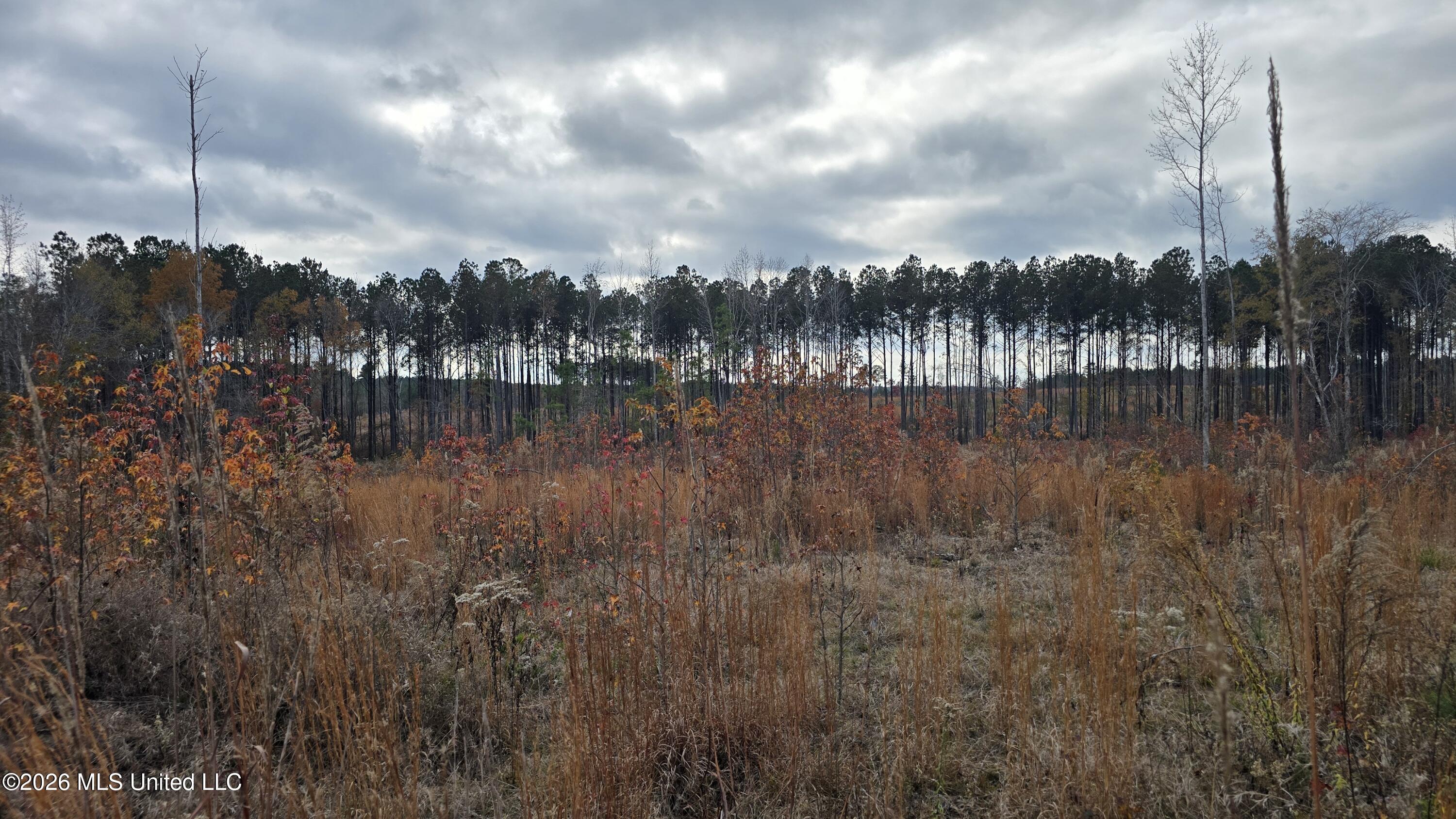 Old Trace Road McCool, MS 39108 - Photo 26 of 30 20251119_131528