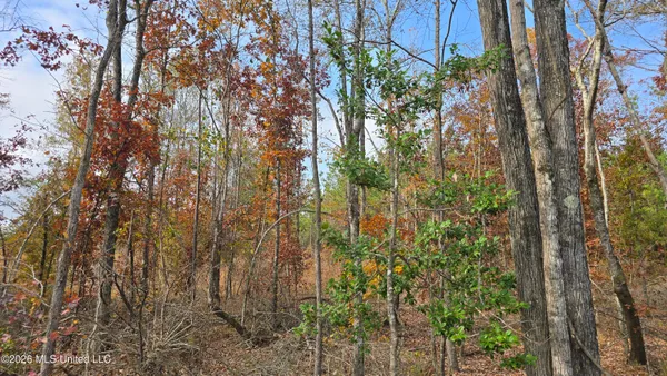$240,600 | Old Trace Road, McCool, MS 39108