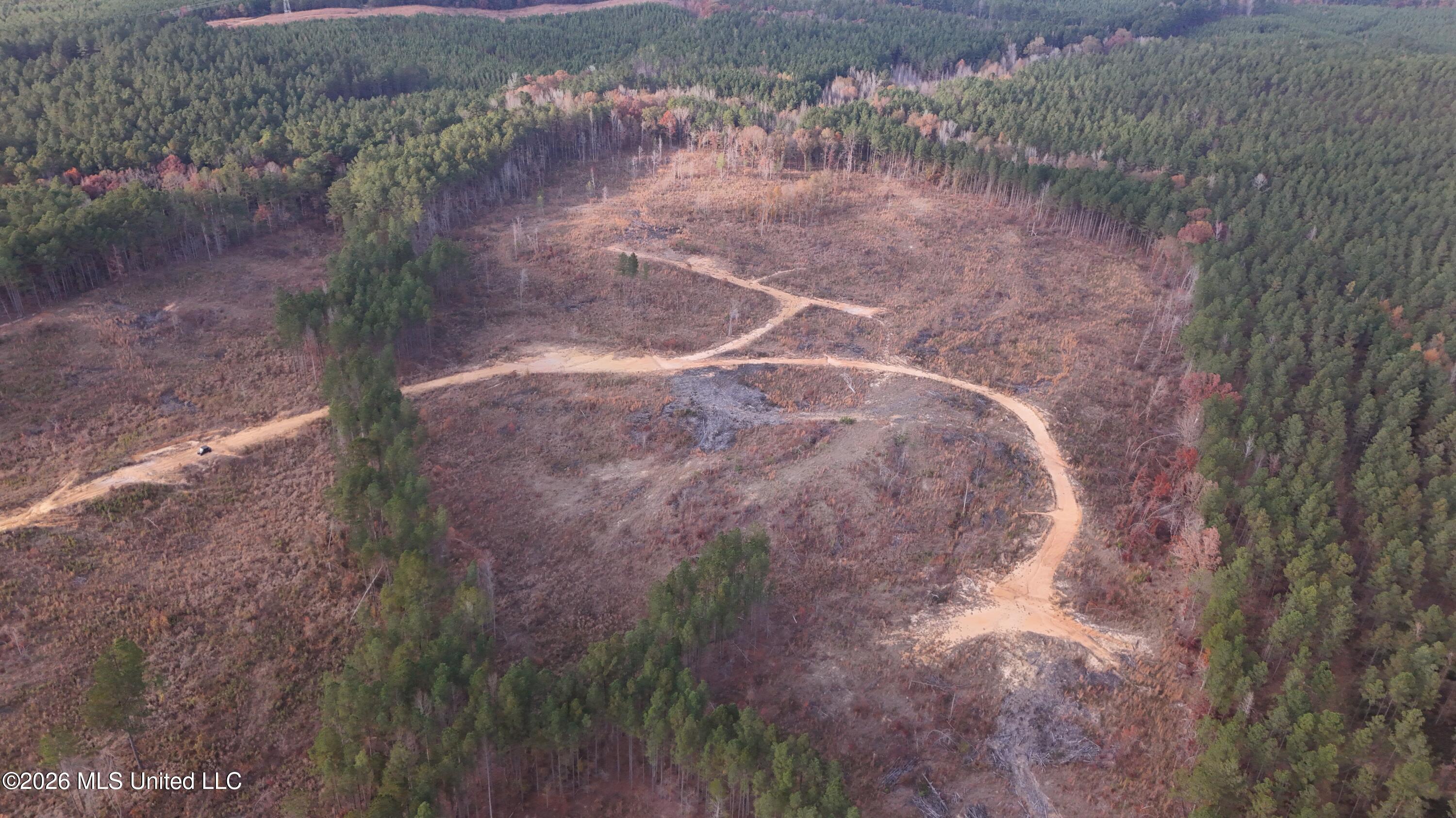 Old Trace Road McCool, MS 39108 - Photo 4 of 30 DJI_20251119155240_0086_D