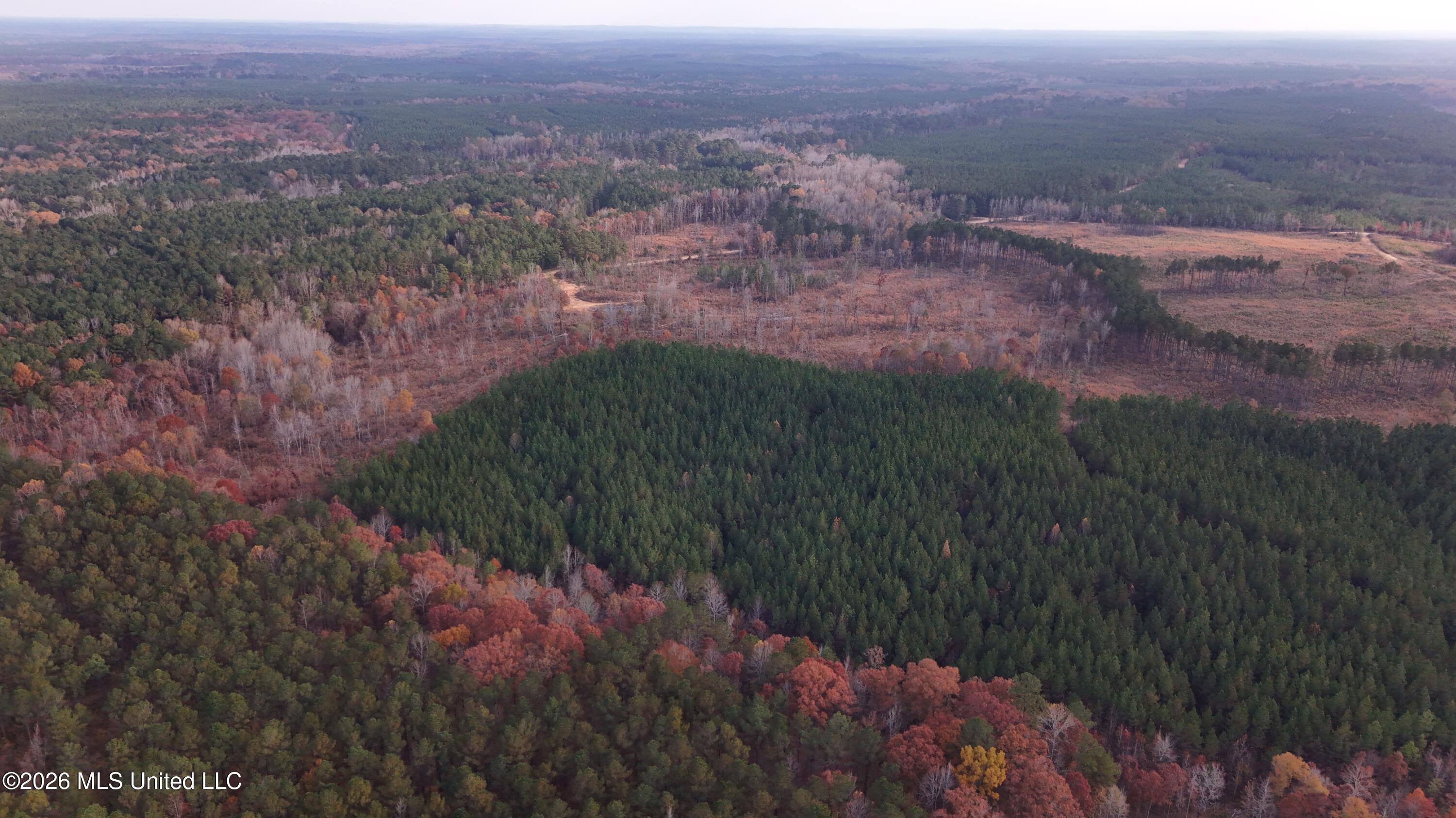 Old Trace Road McCool, MS 39108 - Photo 6 of 30 DJI_20251119155257_0087_D