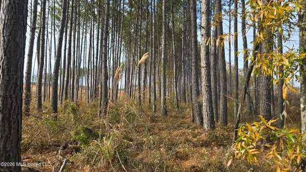 $240,600 | Old Trace Road, McCool, MS 39108