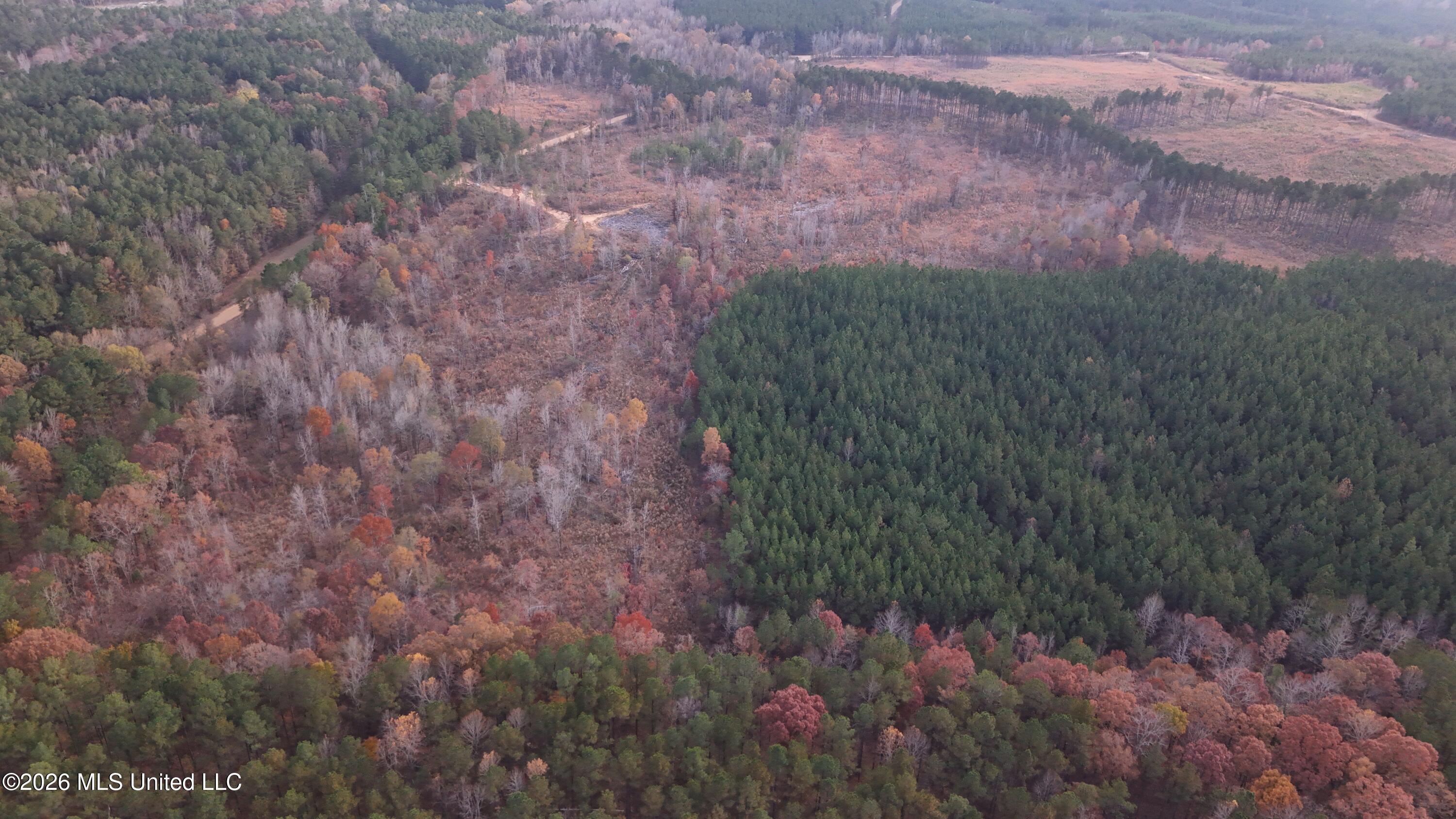 Old Trace Road McCool, MS 39108 - Photo 8 of 30 DJI_20251119155329_0088_D