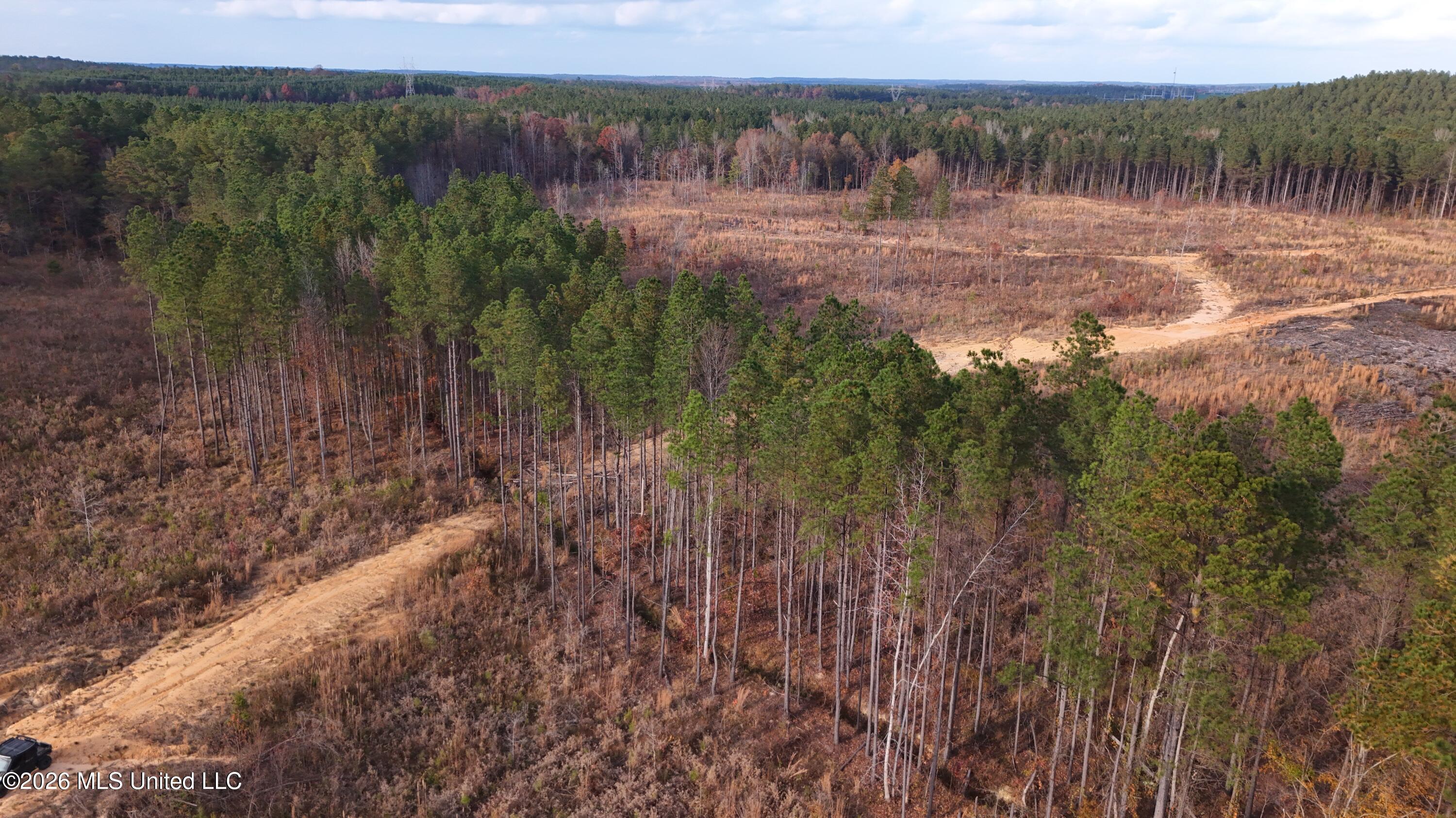 Old Trace Road McCool, MS 39108 - Photo 9 of 30 DJI_20251119155800_0105_D