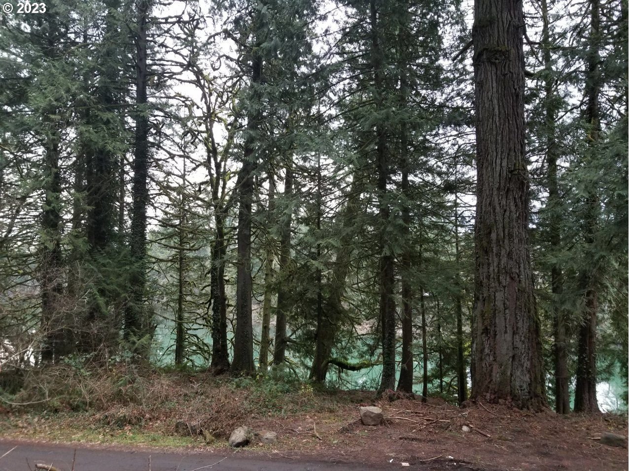 21970 South River Lake Road Estacada, OR 97023 - Photo 4 of 7