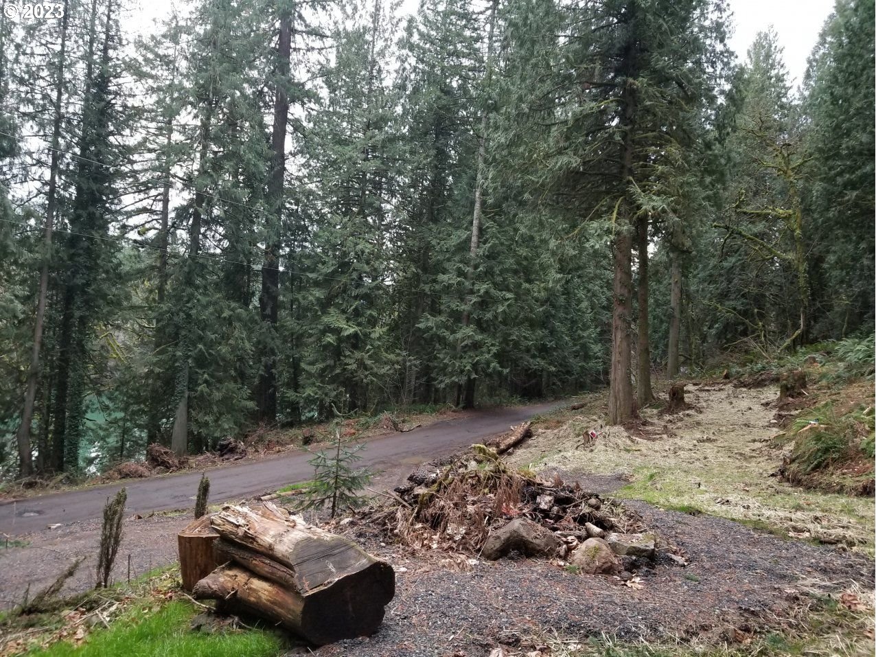 21970 South River Lake Road Estacada, OR 97023 - Photo 5 of 7