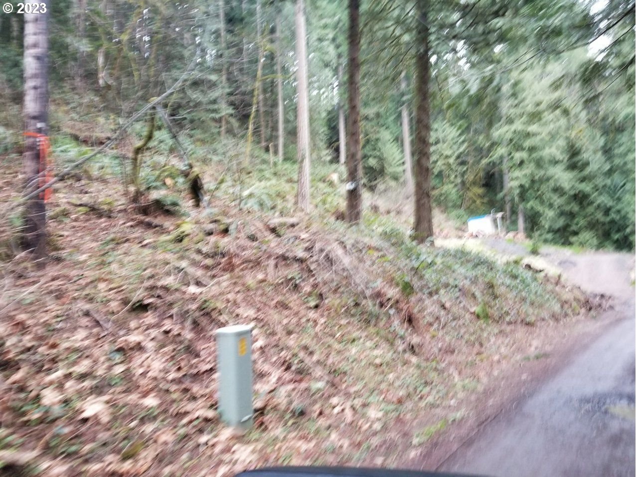 21970 South River Lake Road Estacada, OR 97023 - Photo 6 of 7