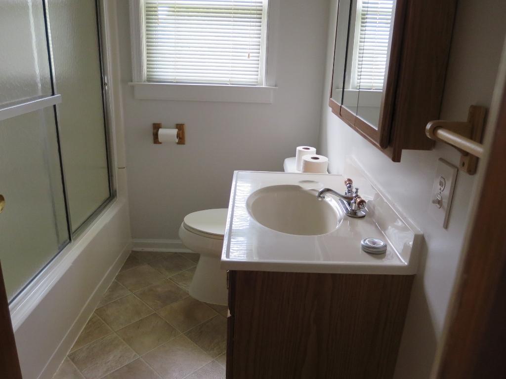 9609 Springwood Road Buchanan, VA 24066 - Photo 15 of 17 bathroom