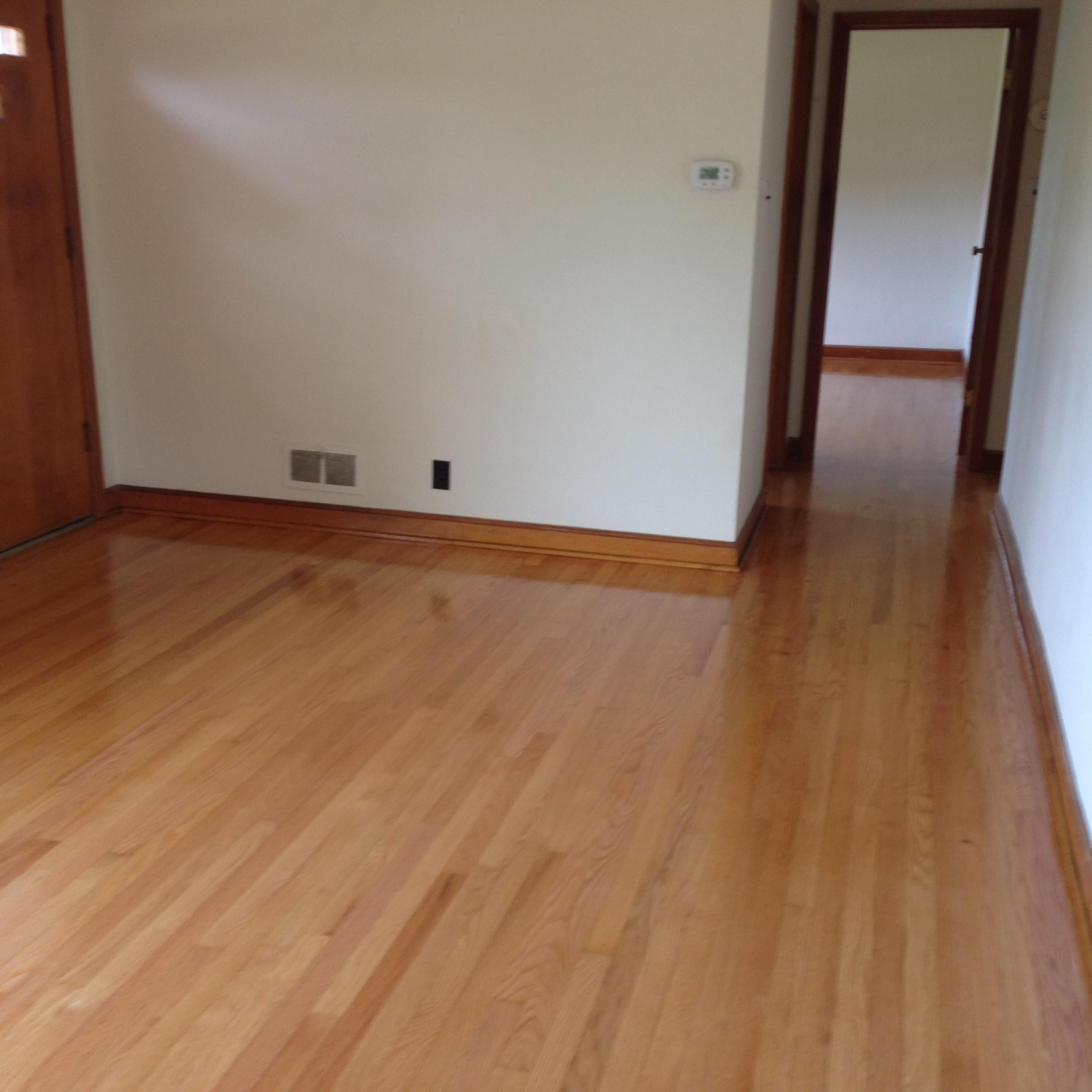 9609 Springwood Road Buchanan, VA 24066 - Photo 16 of 17 beautiful floors