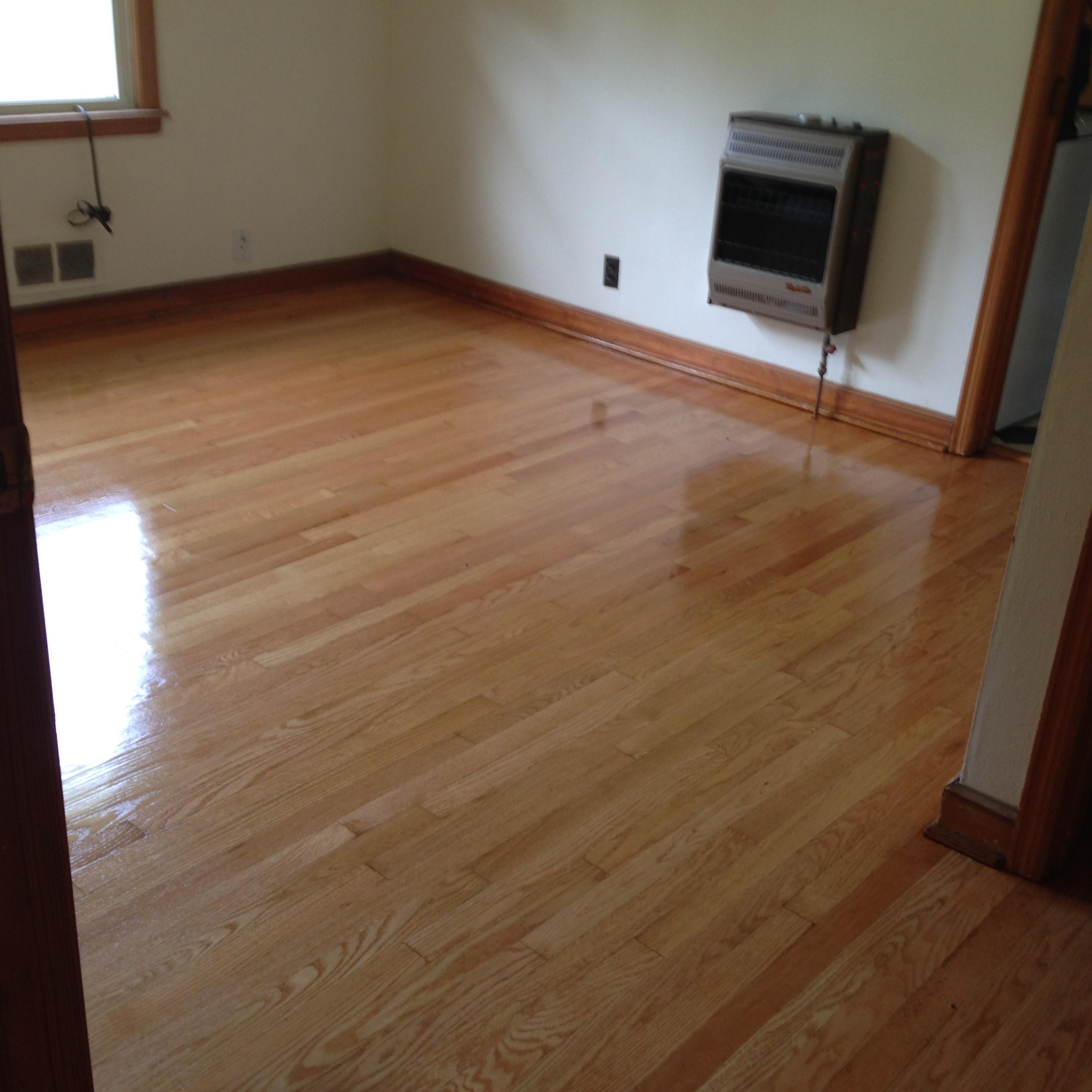 9609 Springwood Road Buchanan, VA 24066 - Photo 17 of 17 shiny floors