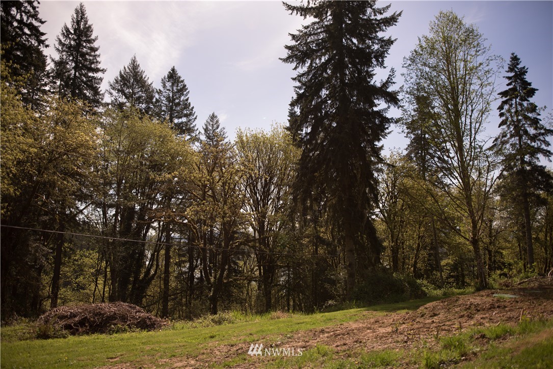 151 Larson Road Longview, WA 98632 - Photo 4 of 24
