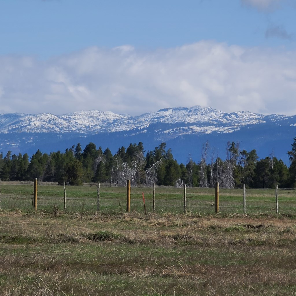 1808 Schultz, Unit 12 Donnelly, ID 83615 - Photo 4 of 6