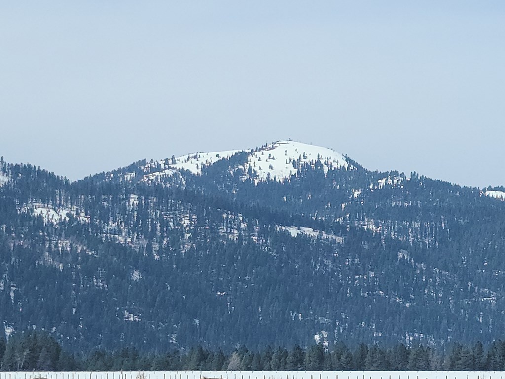 1808 Schultz, Unit 12 Donnelly, ID 83615 - Photo 5 of 6