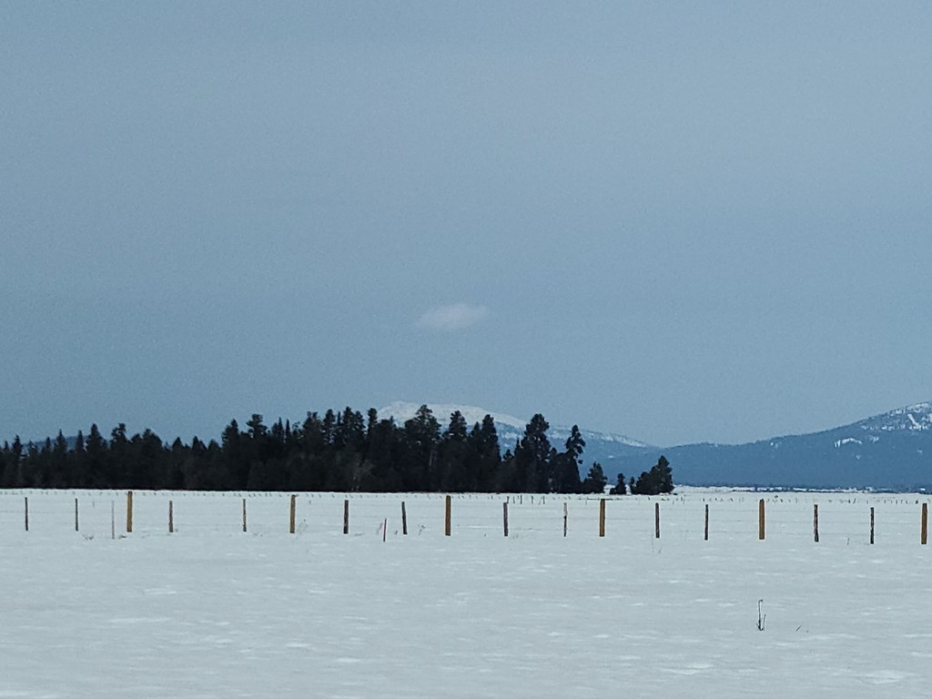 1808 Schultz, Unit 12 Donnelly, ID 83615 - Photo 6 of 6