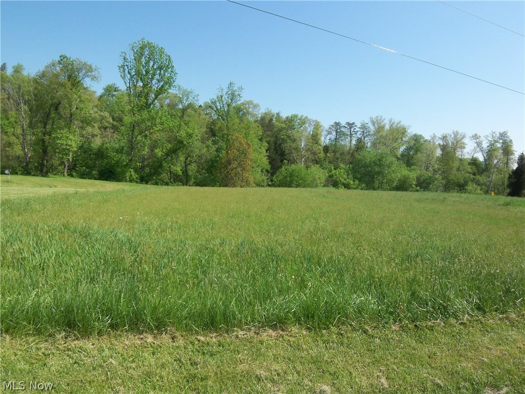 718 Enterprise Road Palestine, WV 26160 - Photo 11 of 27 Lots of flat yard space!