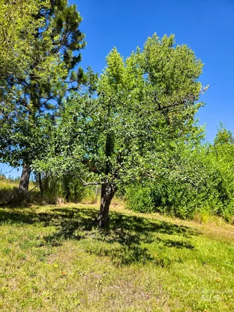 $460,000 | 1031 Spring Valley Road, Troy, ID 83871