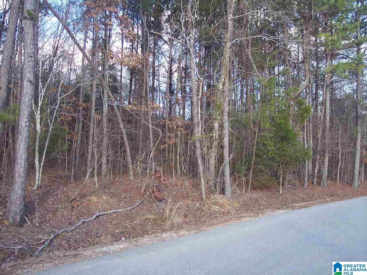 4 Dripping Rock Road, Unit 4 Piedmont, AL 36272 - Photo 1 of 12