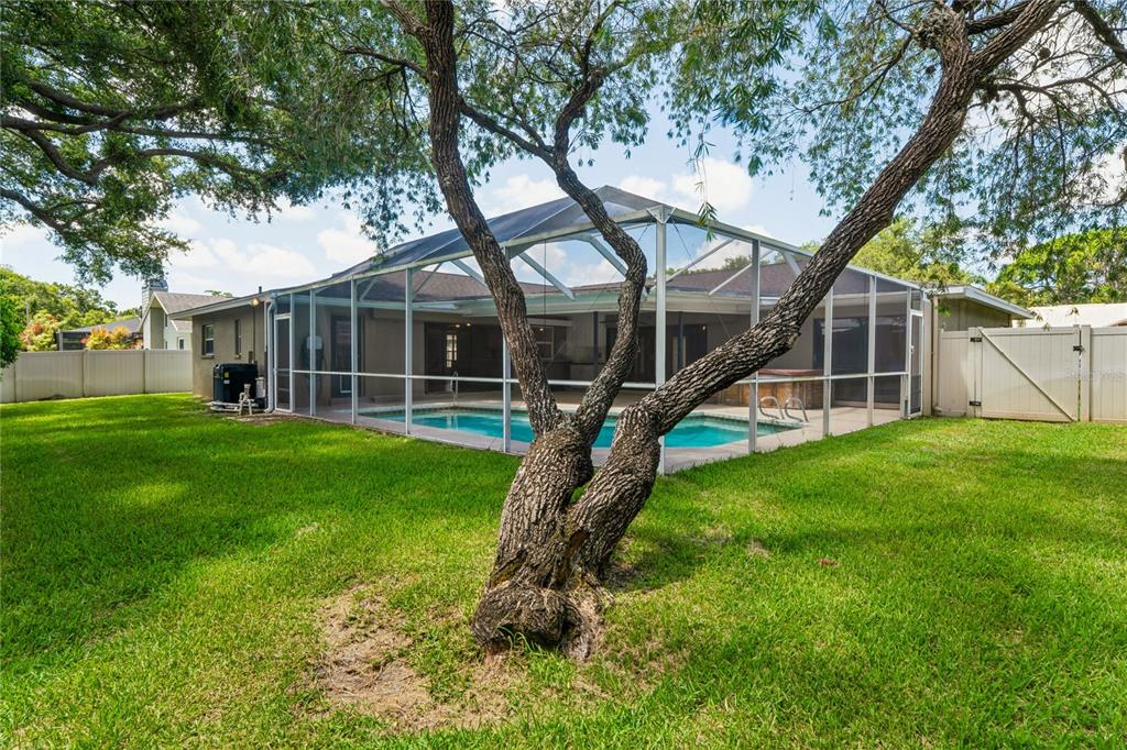 3133 Sandy Ridge Drive Clearwater, FL 33761 - Photo 9 of 52