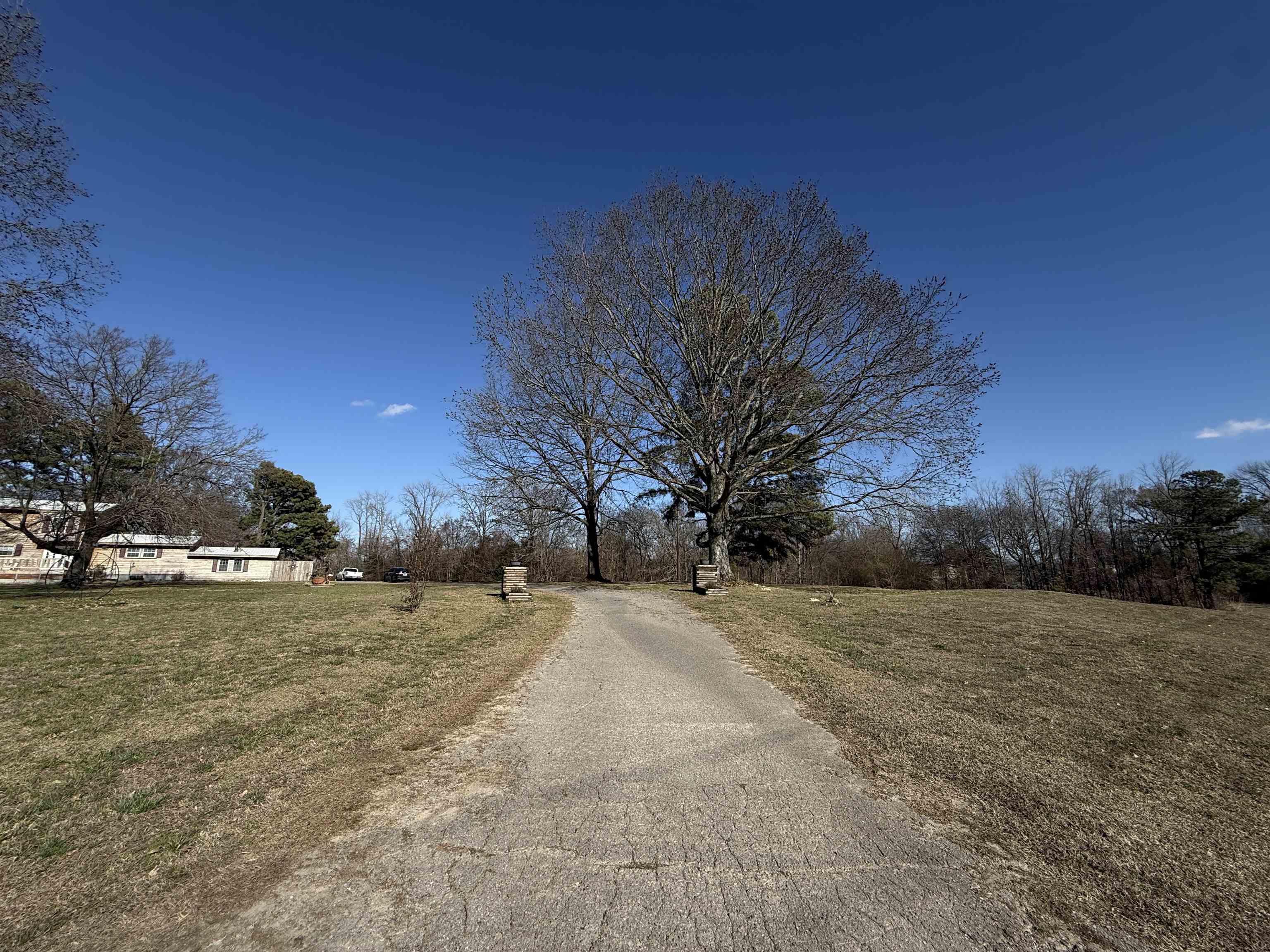 754 McWilliams Road Covington, TN 38019 - Photo 29 of 35