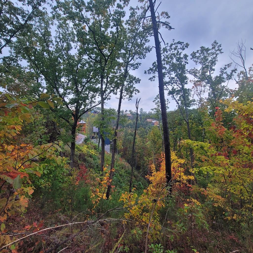 36 Blue Tick Way Sevierville, TN 37876 - Photo 9 of 25
