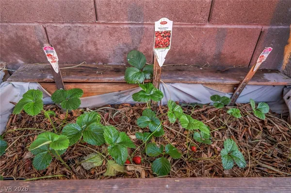 $880,000 | 10372 Hawks Wing Street, Las Vegas, NV 89178