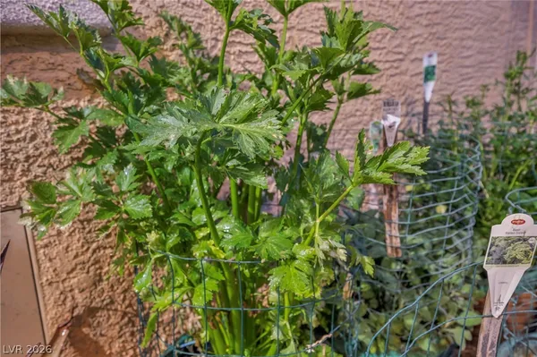 $880,000 | 10372 Hawks Wing Street, Las Vegas, NV 89178