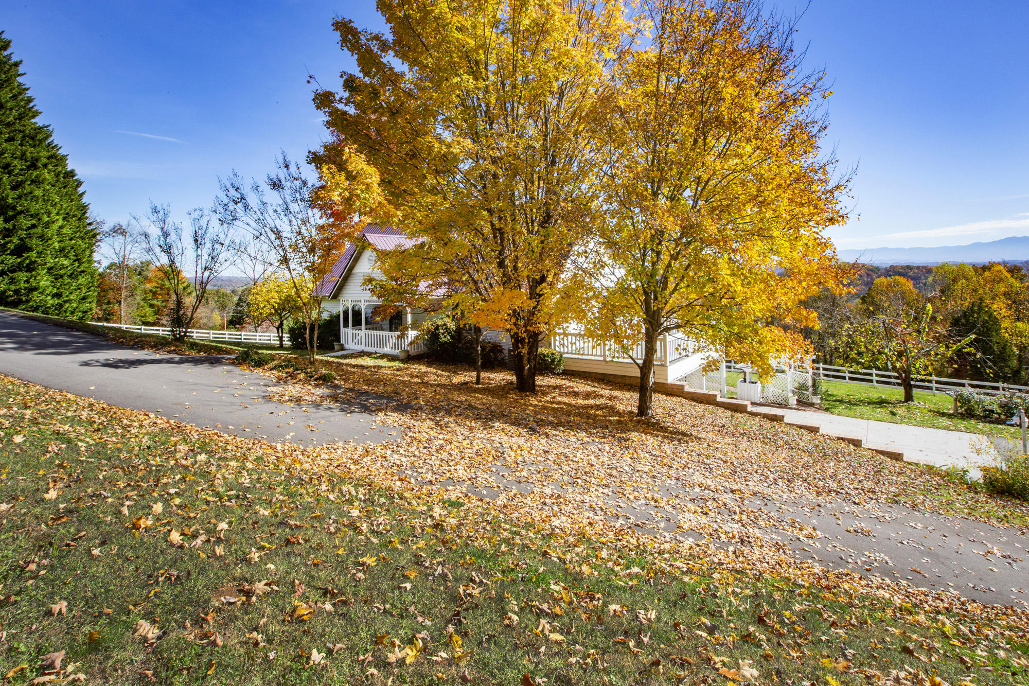 1347 McCarty Road Knoxville, TN 37914 - Photo 36 of 38 K55A1651
