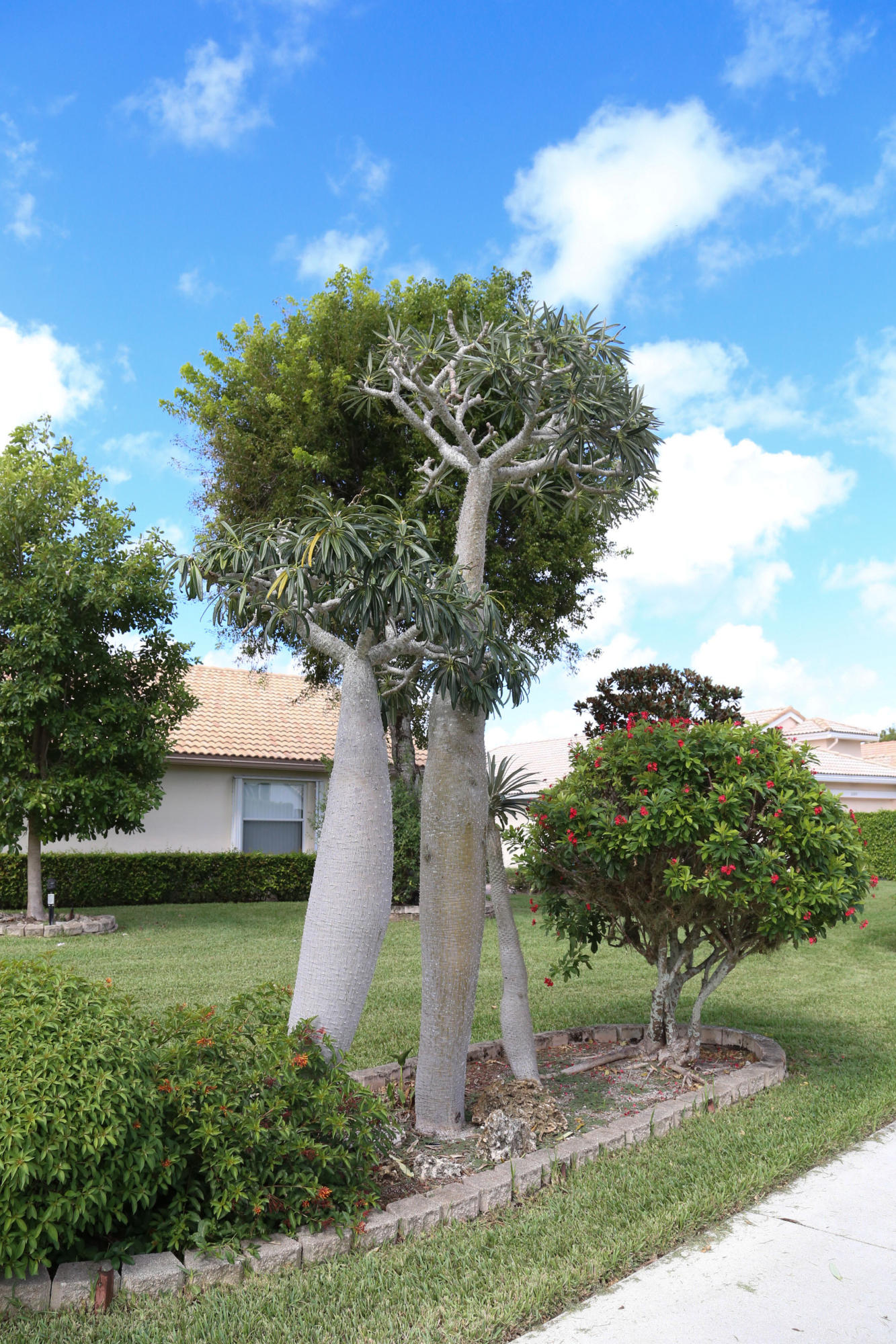 8721 Chunnel Drive Boca Raton, FL 33433 - Photo 8 of 57 IMG_1135