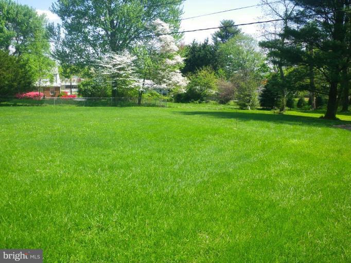 Back yard