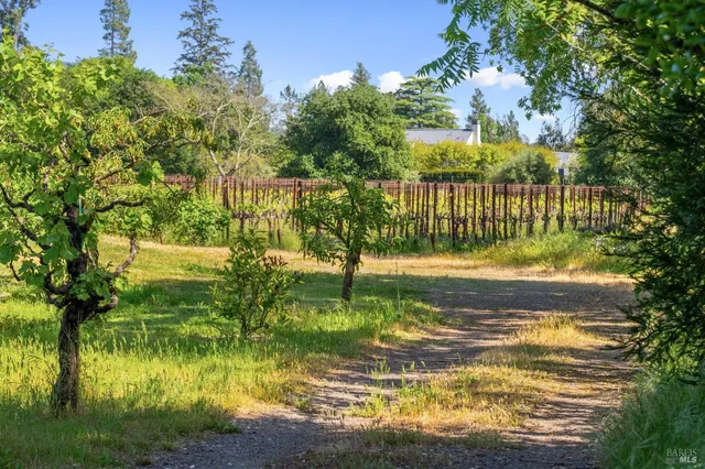 $3,998,000 | 1195 Castle Road, Sonoma, CA 95476