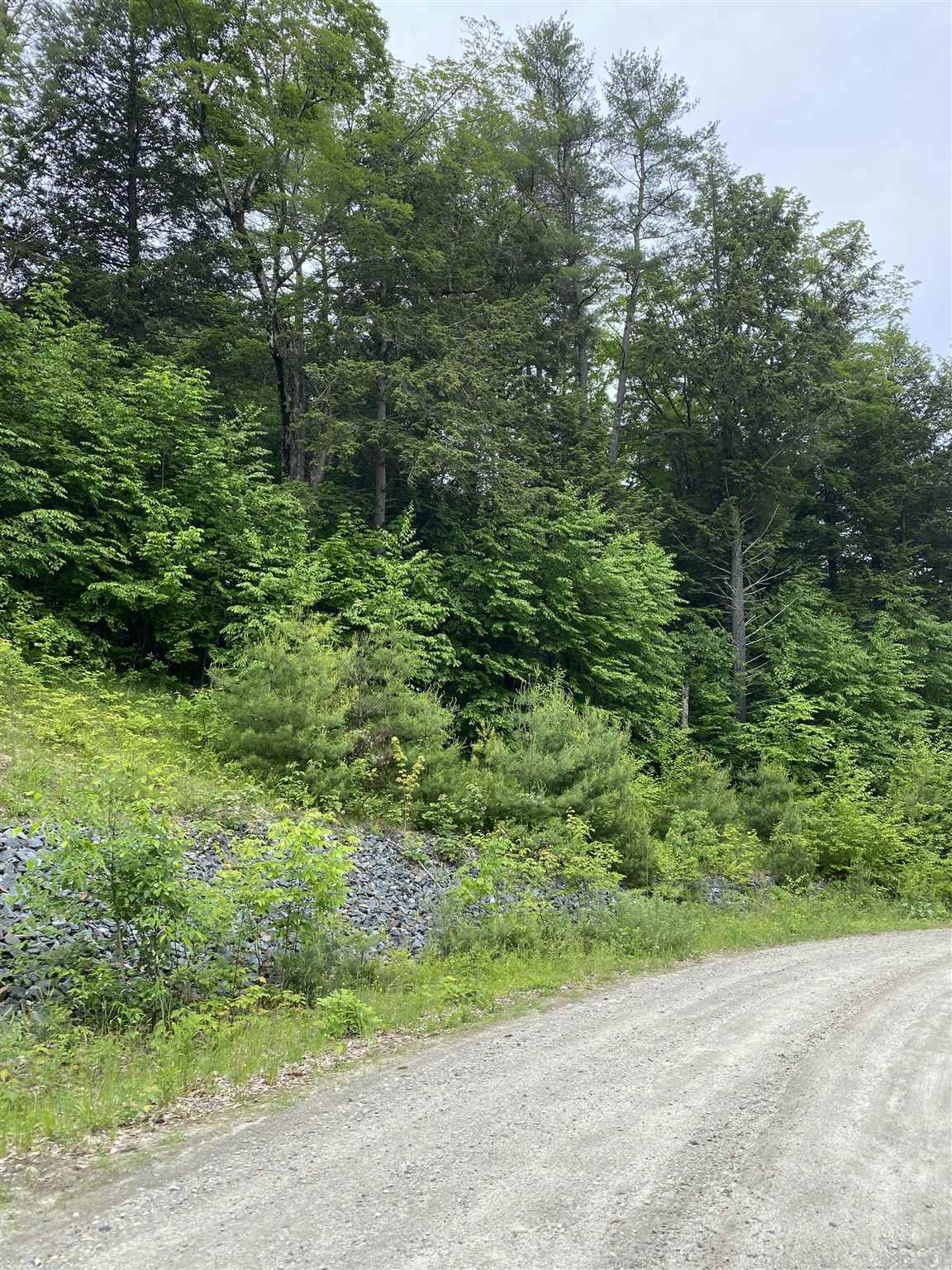 0 Remington Road, Unit LOT 11 Chester, VT 05143 - Photo 2 of 5