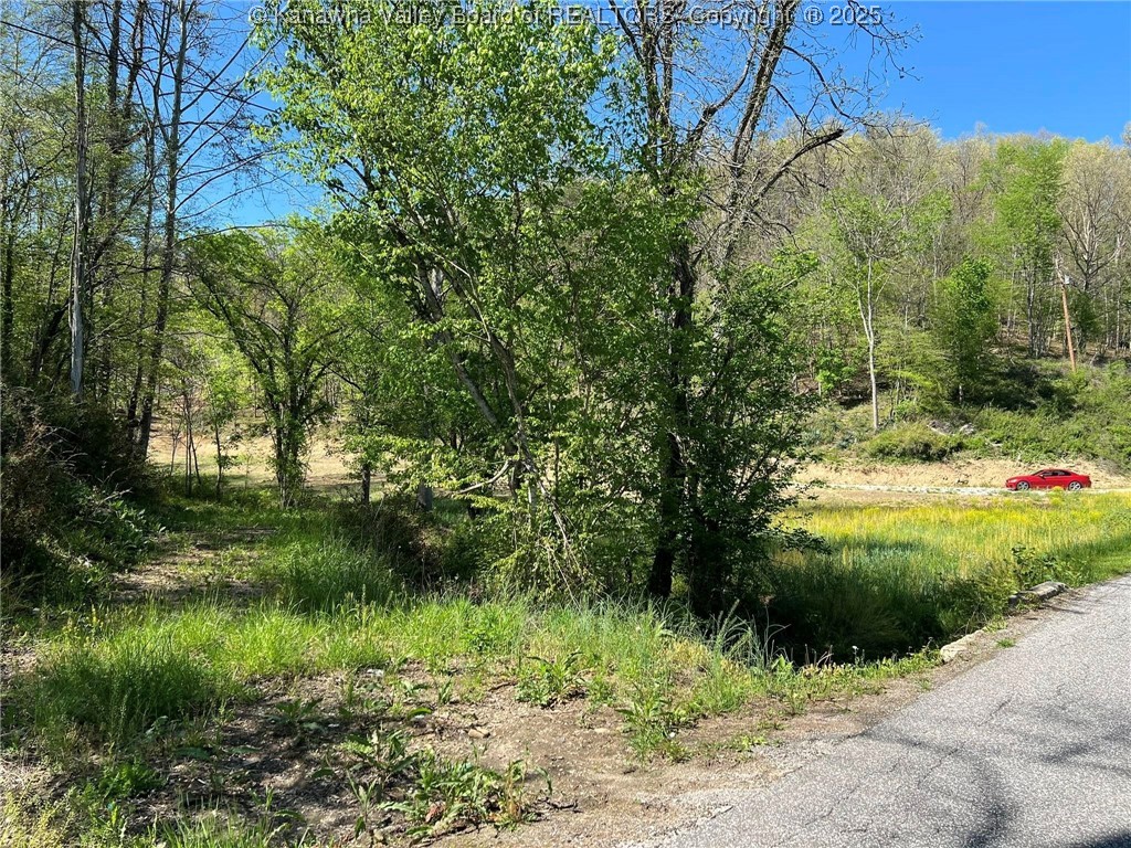 0 Upper Mud River Road Hamlin, WV 25523 - Photo 6 of 18 Gallery Image 6