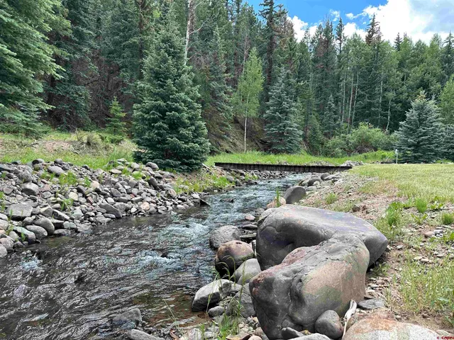 a is sitting in the middle of the green forest