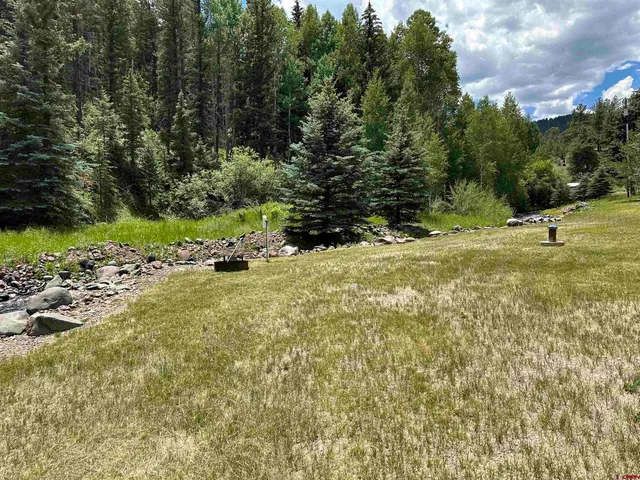 a view of a tree with a yard