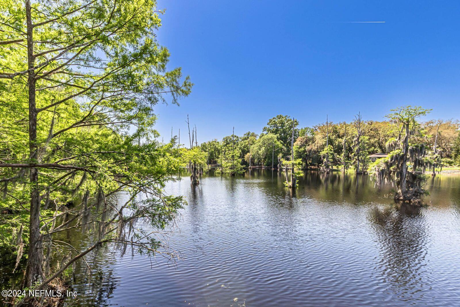565 Roberts Road St. Johns, FL 32259 - Photo 52 of 79 The View
