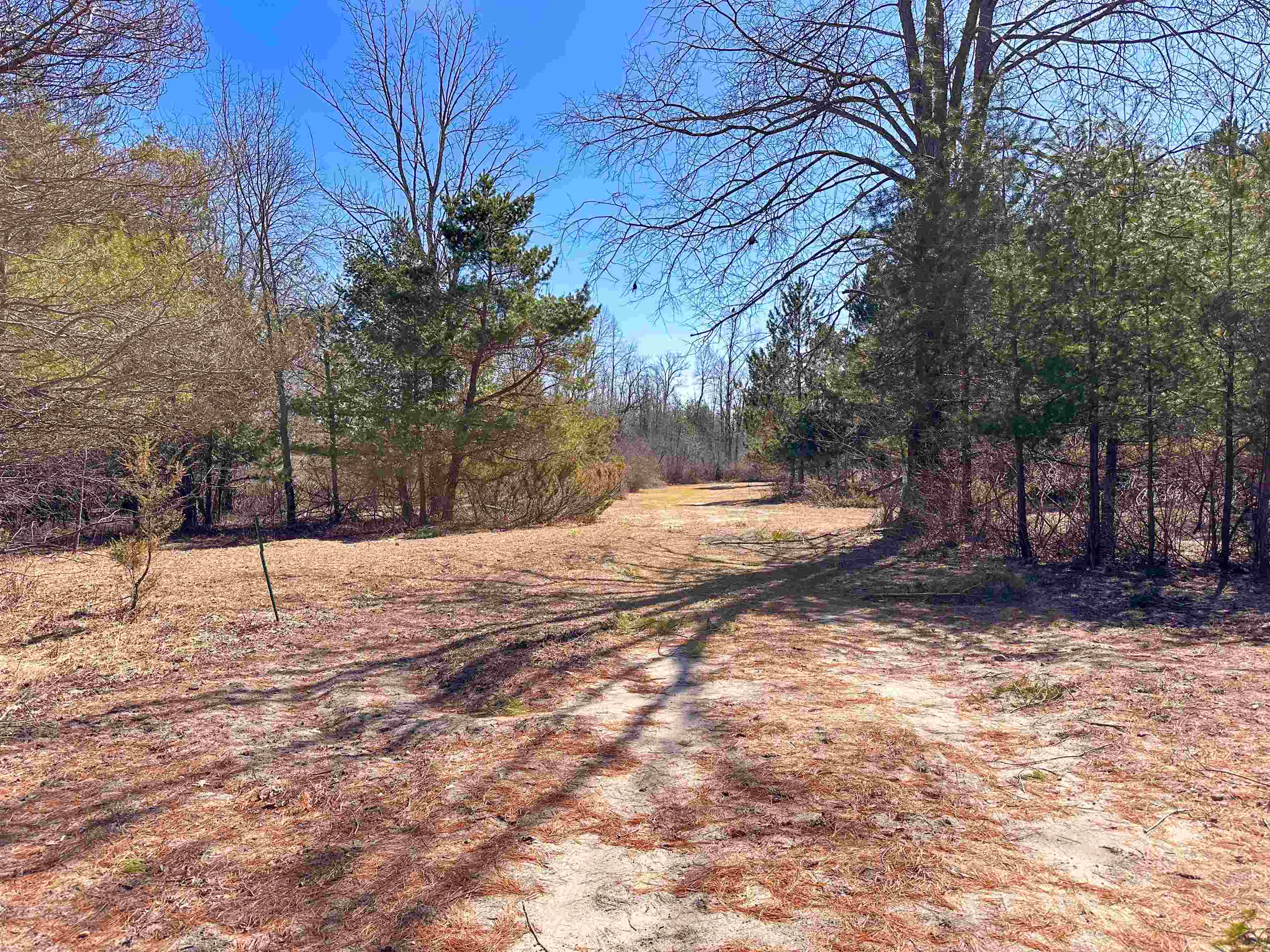 0 Nelson Road East Jordan, MI 49727 - Photo 29 of 33 Gallery Image 29