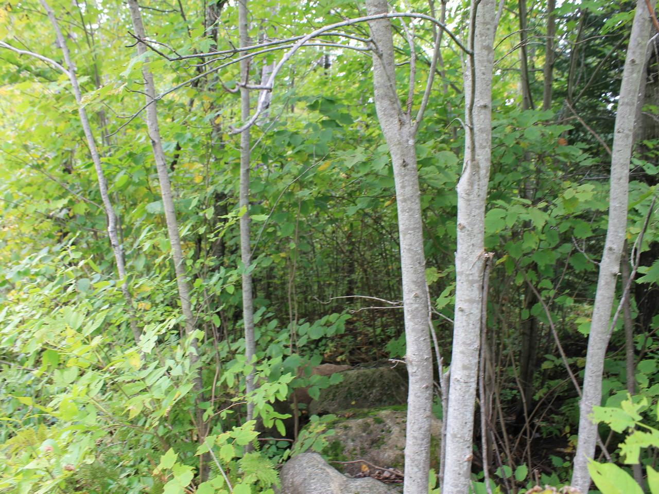 Three Ten Road, Unit LOT 25 Mercer, WI 54547 - Photo 15 of 15 Gallery Image 15