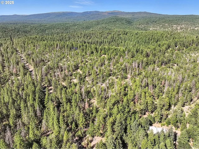 $54,000 | Forest Glen, Goldendale, WA 98620