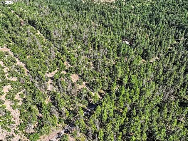 $54,000 | Forest Glen, Goldendale, WA 98620