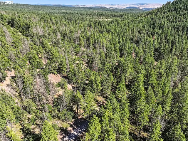 $54,000 | Forest Glen, Goldendale, WA 98620