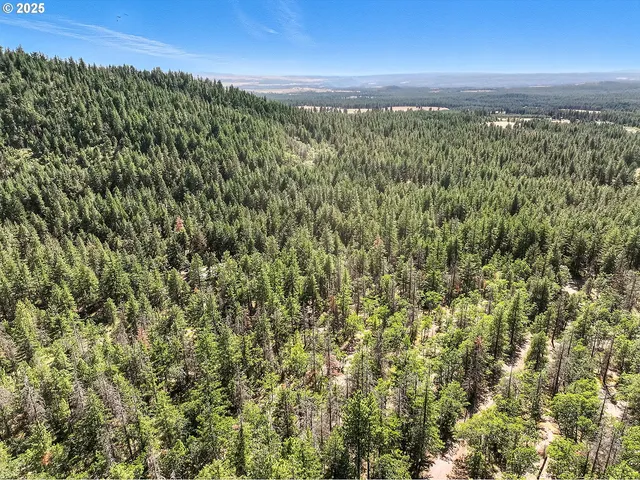 $54,000 | Forest Glen, Goldendale, WA 98620