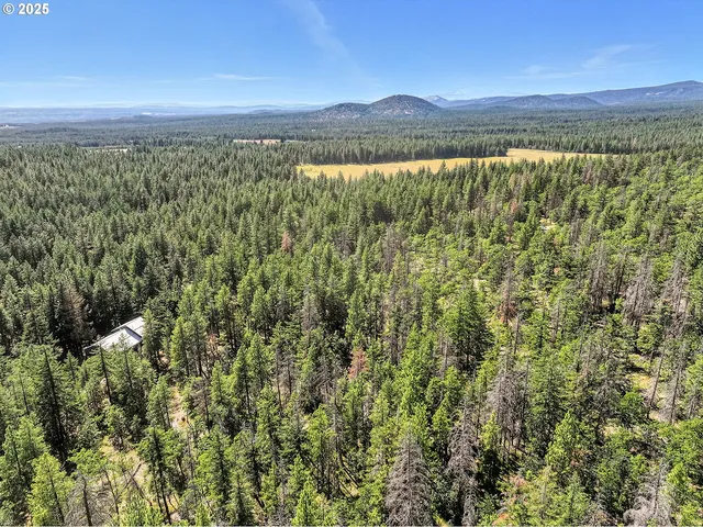 $54,000 | Forest Glen, Goldendale, WA 98620