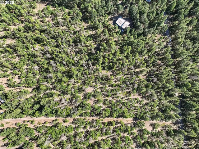 $54,000 | Forest Glen, Goldendale, WA 98620