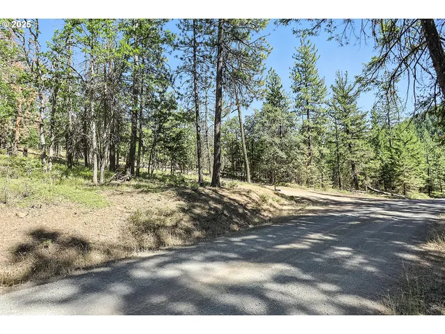 $54,000 | Forest Glen, Goldendale, WA 98620