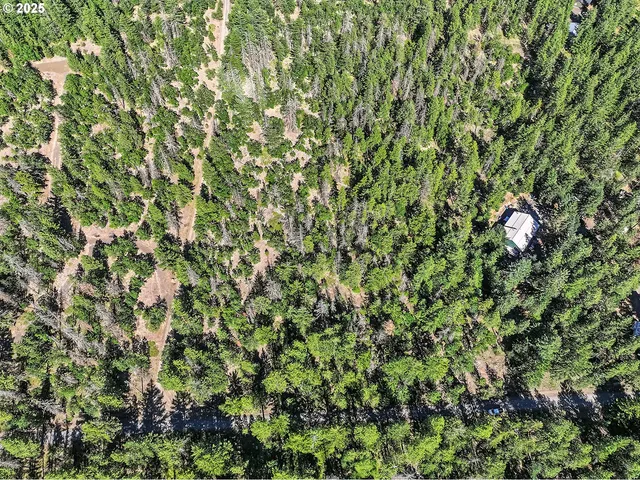 $54,000 | Forest Glen, Goldendale, WA 98620