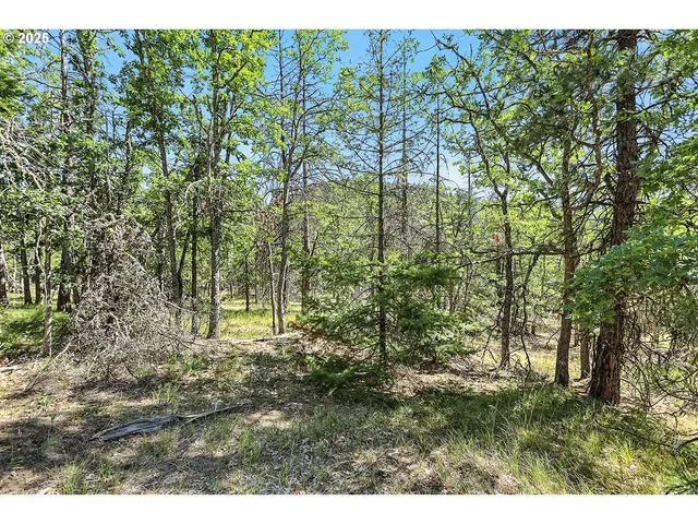 $54,000 | Forest Glen, Goldendale, WA 98620