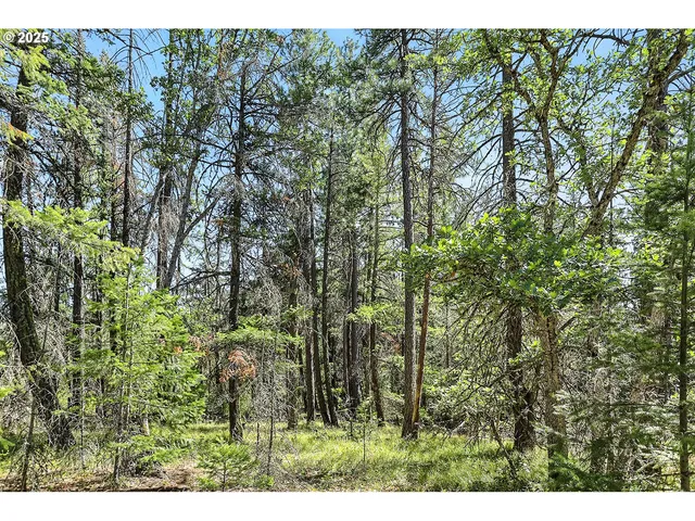 $54,000 | Forest Glen, Goldendale, WA 98620
