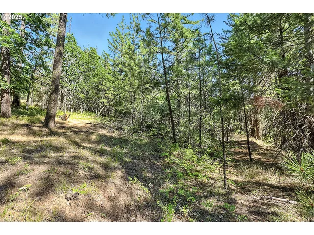 $54,000 | Forest Glen, Goldendale, WA 98620