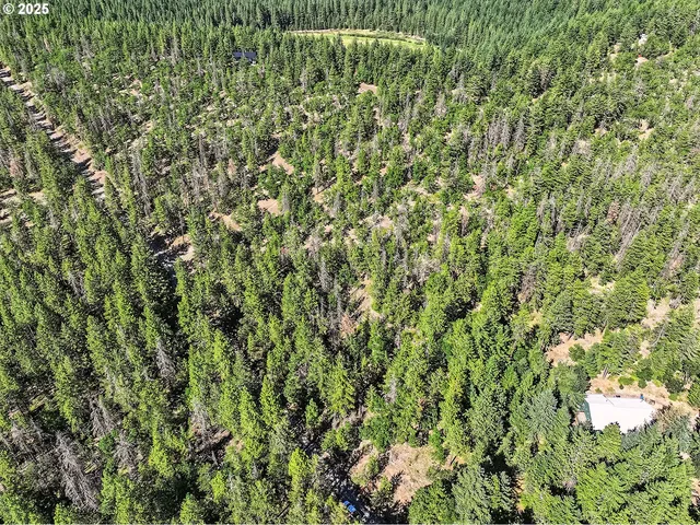 $54,000 | Forest Glen, Goldendale, WA 98620