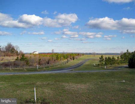 21711 Cove Point Farm Road Tilghman, MD 21671 - Photo 20 of 24 View