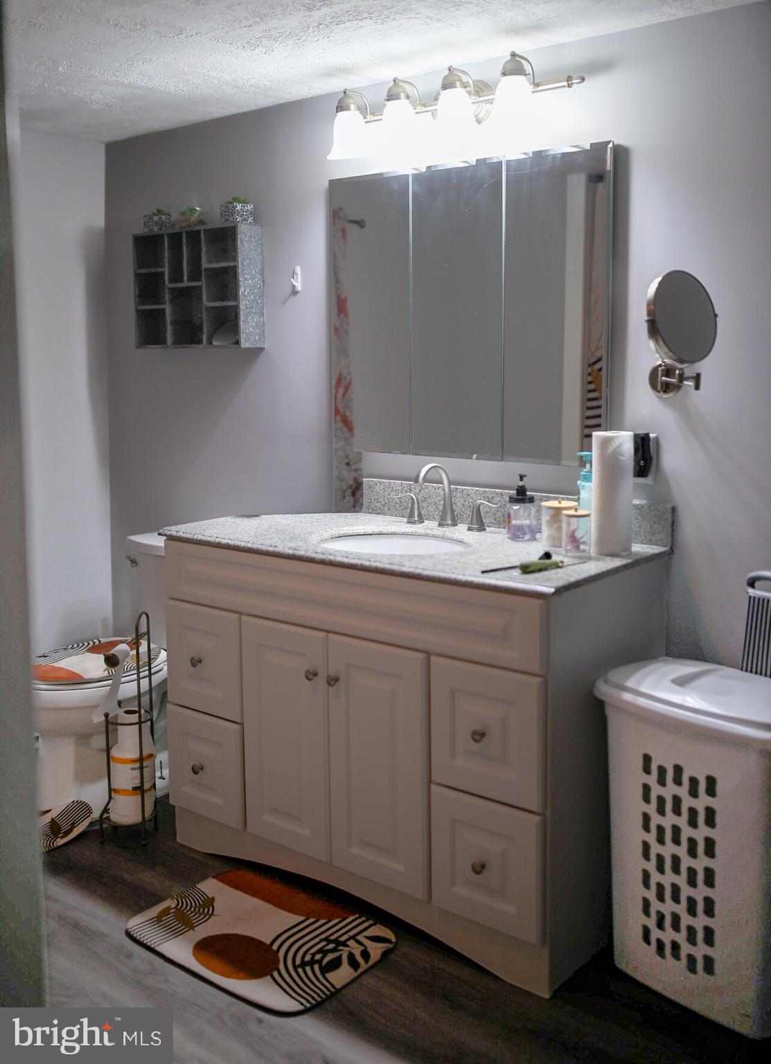 7308 Federalsburg Road Bridgeville, DE 19933 - Photo 11 of 24 a bathroom with a sink and a mirror